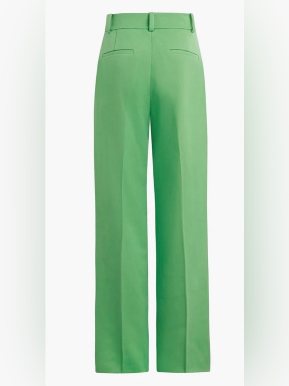 Favorite Daughter The Favorite pleated wide leg Pant in Green House Size 10 - Picture 5 of 7